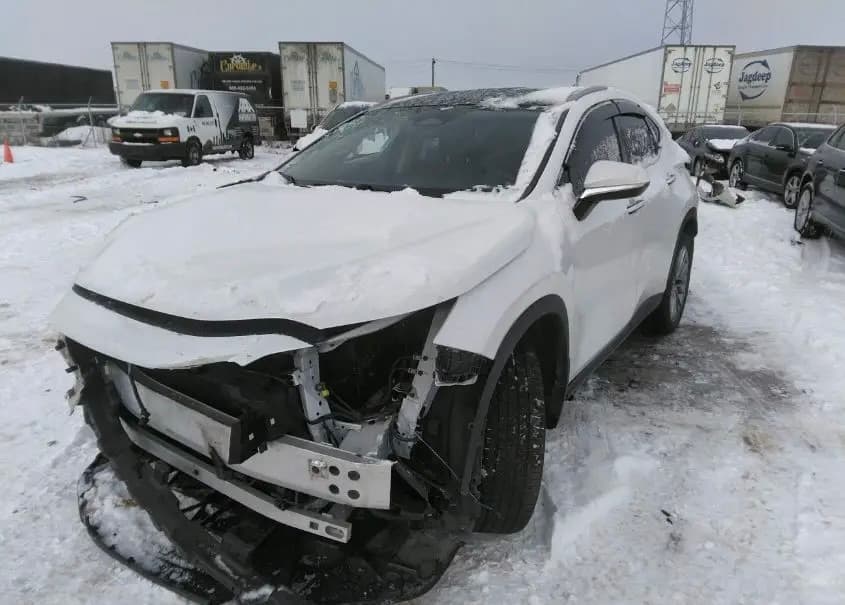 2T2GKCEZXPC015554 LEXUS NX 2023