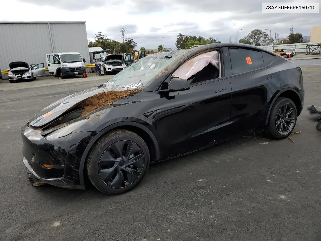 7SAYGDEE6RF150710 TESLA Model Y 2024