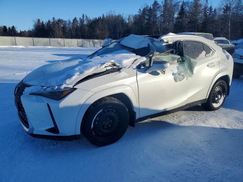 JTHUCJDH0S2008636 LEXUS UX 2025