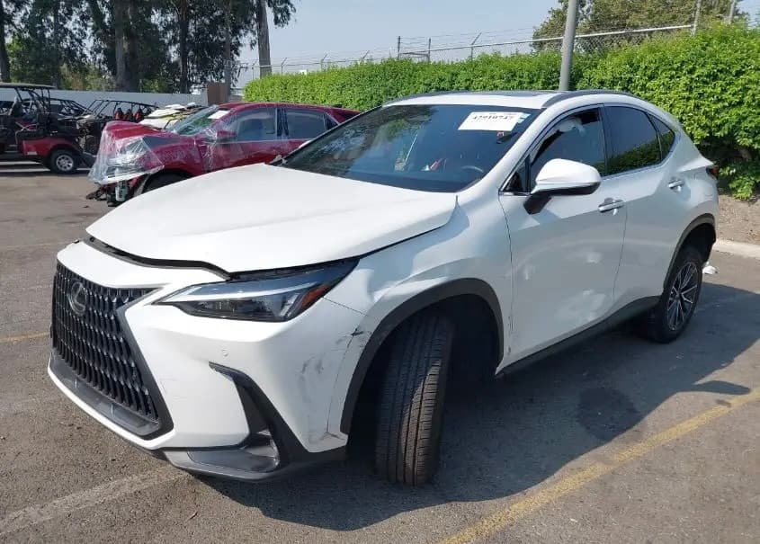 JTJGKCEZ4R2026262 LEXUS NX 2024
