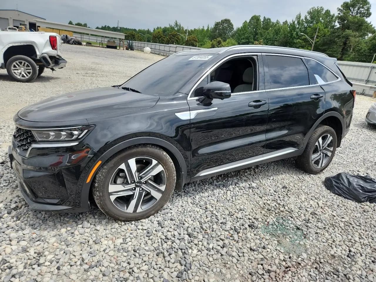 KNDRMDLH5P5178763 KIA Sorento 2023